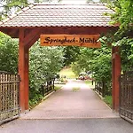Hotel Springbach-muehle 3*