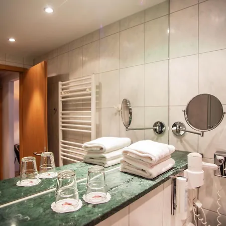 Hotel Springbach-muehle 3*