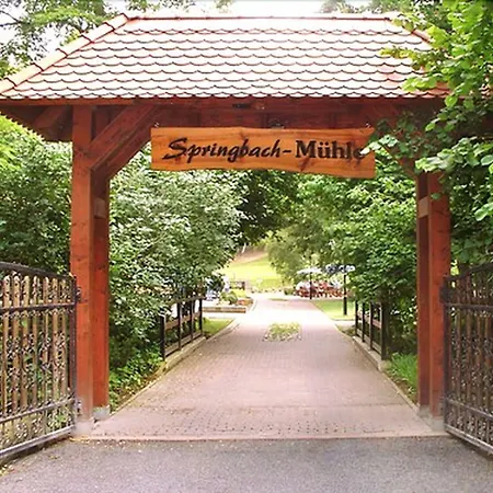 Hotel Springbach-muehle 3*
