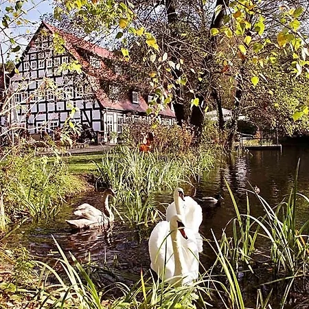 Hotel Springbach-muehle