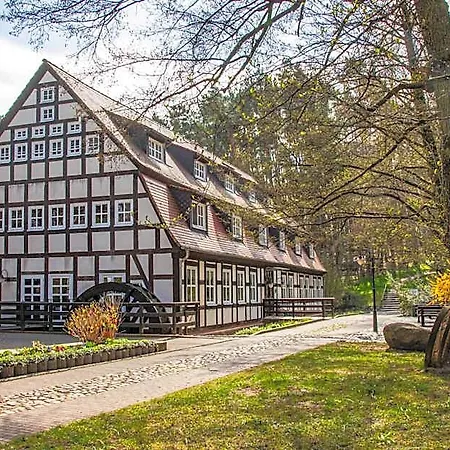 Springbach-muehle 3*