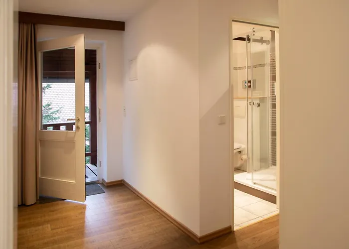 Hotel Springbach-muehle