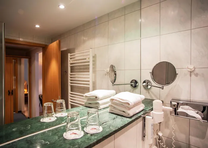 Hotel Springbach-muehle 3*