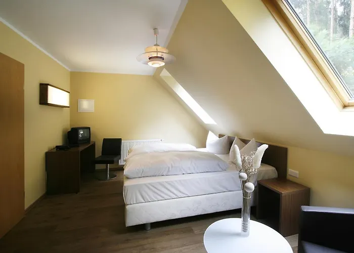 Springbach-muehle فندق